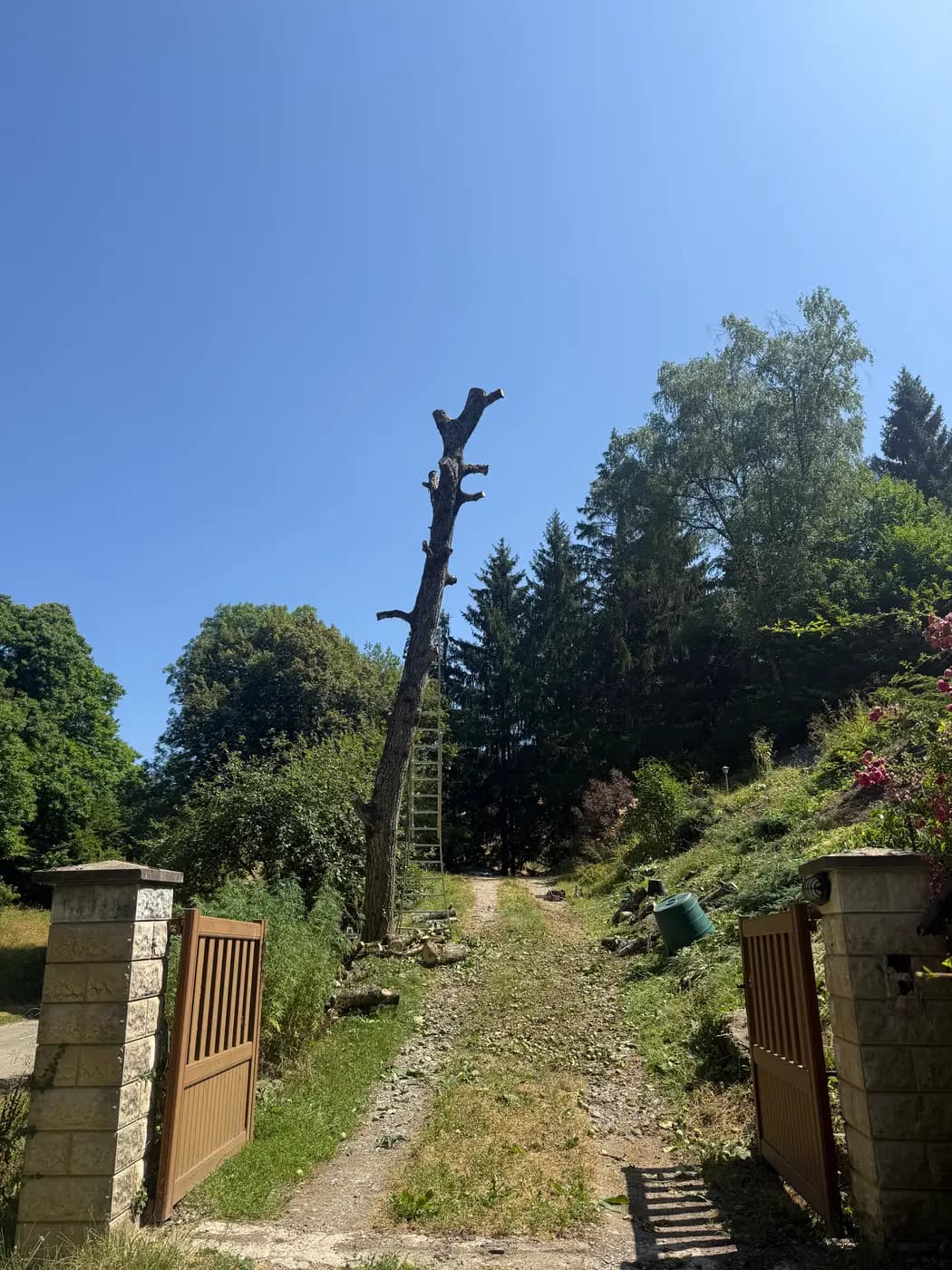 Grand arbre en cours de démontage près d'un portail