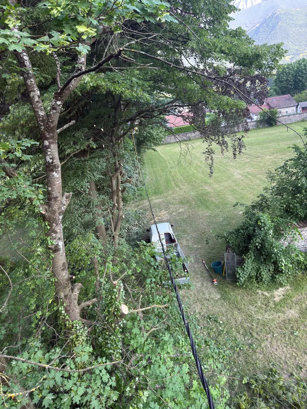 Vue depuis la cime d'un arbre sur le jardin et les montagnes